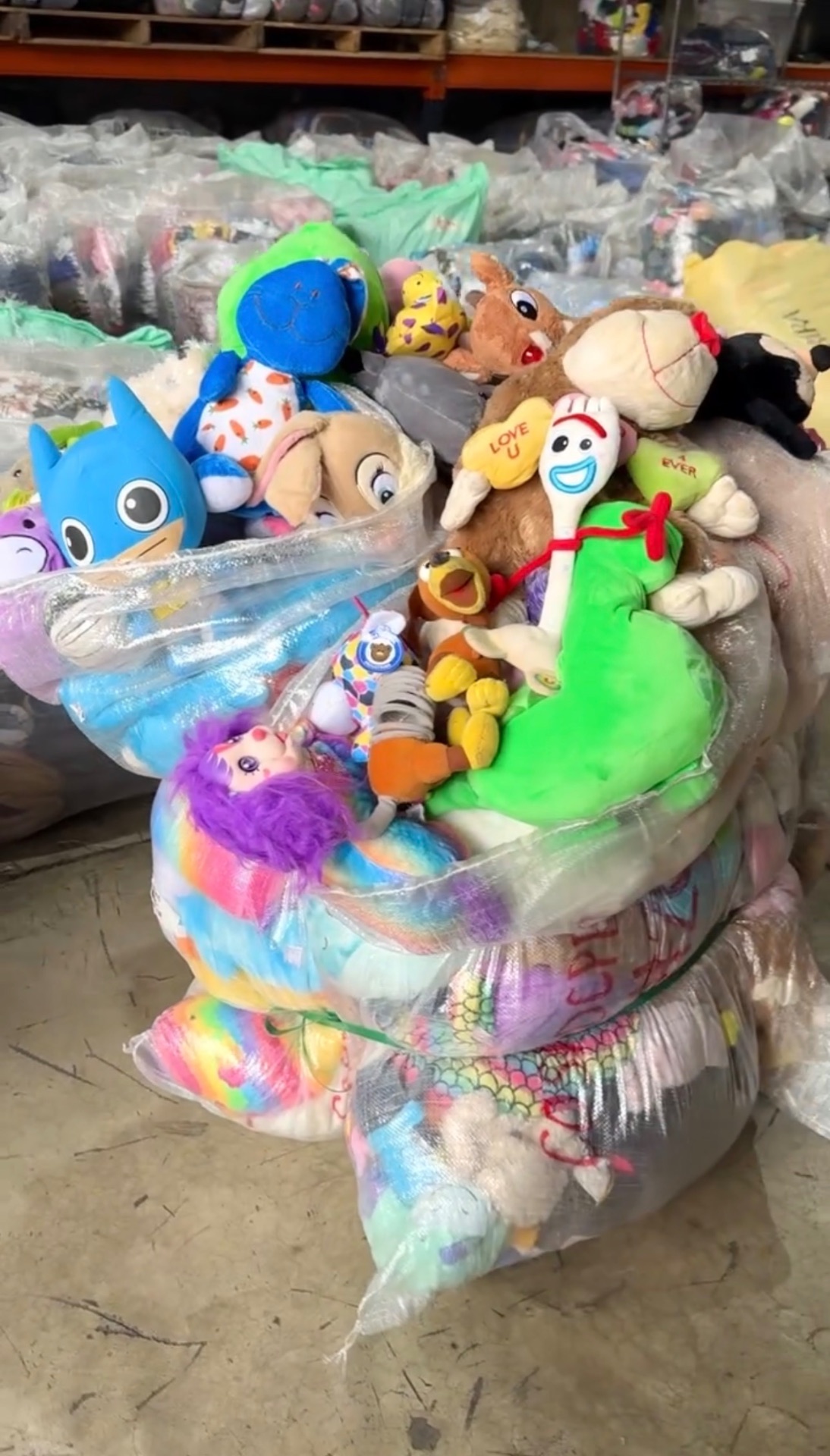 Peluche - Econopaca